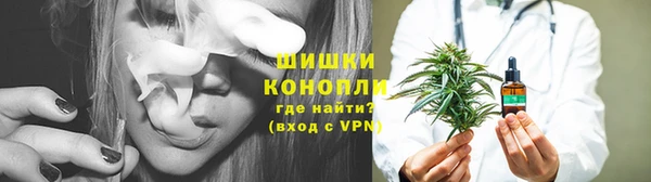 прущие крисы Гусев