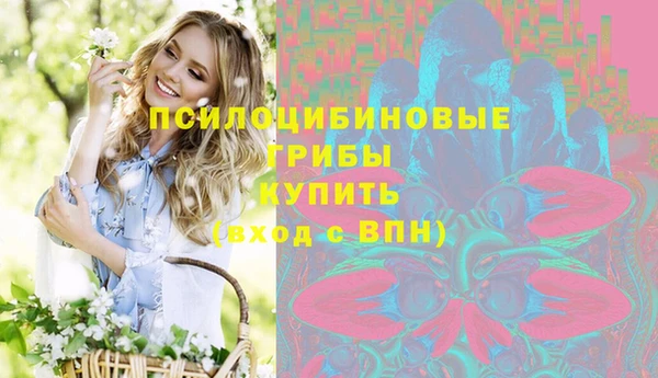 прущие крисы Гусев
