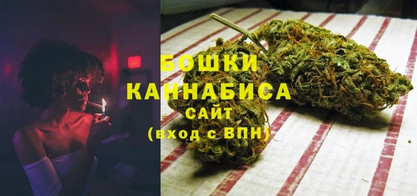 прущие крисы Гусев
